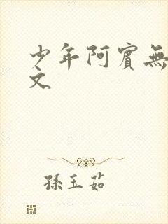 少年阿宾无删全文