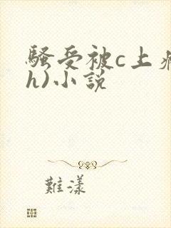 骚受被c上瘾(h)小说