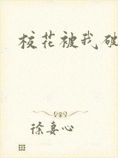 校花被我破处