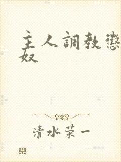 主人调教惩罚男奴