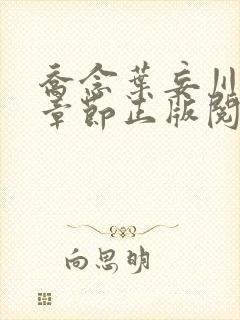 乔念叶妄川最新章节正版阅读封面