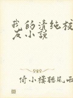 我的清纯校花女友小说