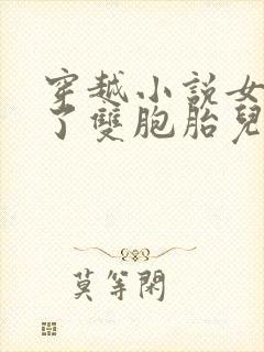 穿越小说女主生了双胞胎儿子