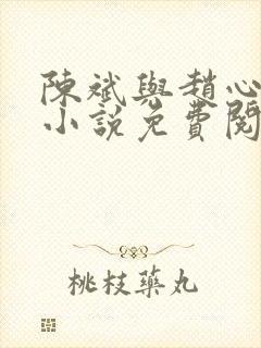 陈斌与赵心媚的小说免费阅读封面