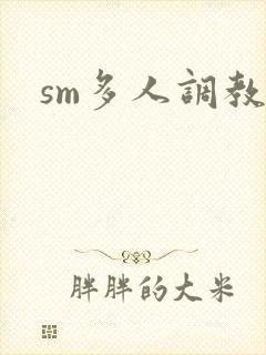 sm多人调教文