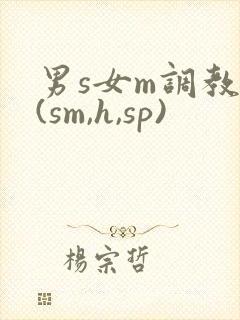 男s女m调教文(sm,h,sp)