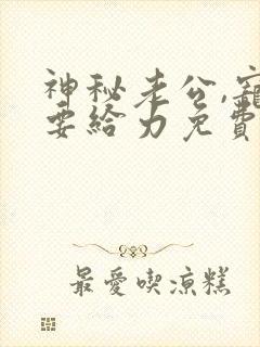 神秘老公,宠妻要给力免费阅读