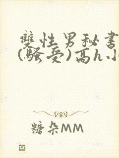 双性男秘书巨乳(骚受)高h小说封面
