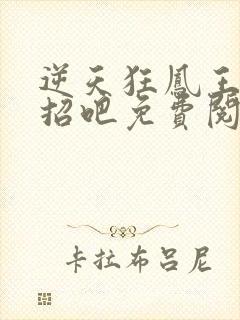 逆天狂凤王爷接招吧免费阅读全文