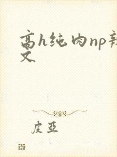 高h纯肉np辣文