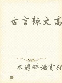古言辣文高h