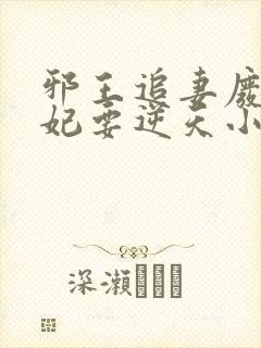 邪王追妻废材狂妃要逆天小说