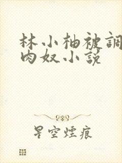 林小柚被调教成肉奴小说