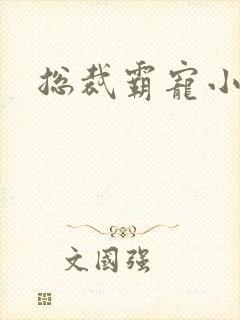 总裁霸宠小娇妻