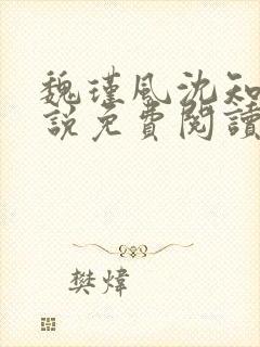 魏瑾风沈知玉小说免费阅读最新章节