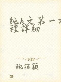 纯h文第一次过程详细