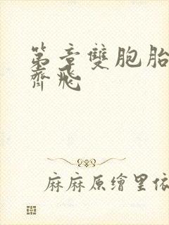 第章双胞胎姐妹齐飞封面