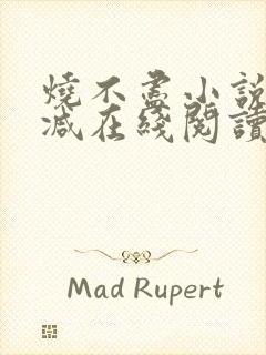 烧不尽小说无删减在线阅读