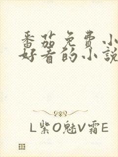 番茄免费小说中好看的小说