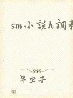 sm小说h调教封面