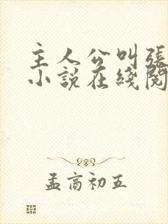 主人公叫张晨的小说在线阅读