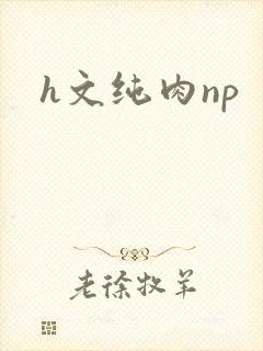 h文纯肉np
