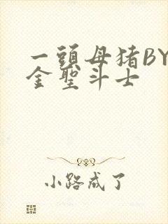 一头母猪BY黄金圣斗士