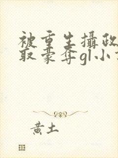 被重生摄政王巧取豪夺gl小说免费阅读