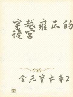 穿越雍正的极品后宫