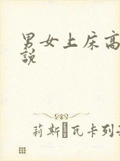 男女上床高h小说封面