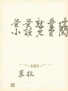 爸爸就爱坏爸爸小说免费阅读全文