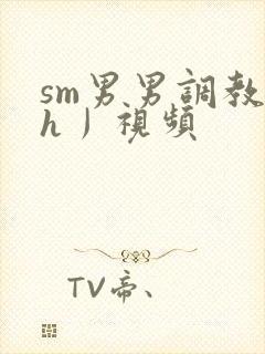 sm男男调教〈h丿视频