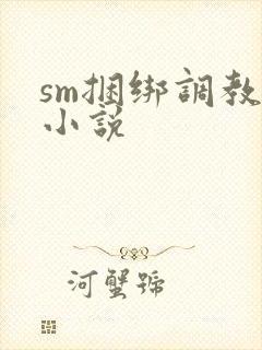 sm捆绑调教女小说