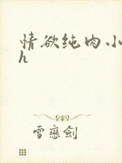 情欲纯肉小说高h