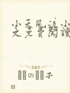 小天风流小说全文免费阅读无弹窗封面