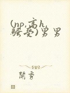 (np,高h,骚受)男男