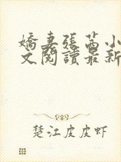 娇妻张茜小说全文阅读最新章节更新