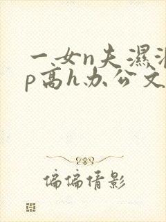 一女n夫湿润np高h办公文