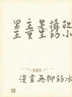 男主是摄政王女主重生的小说