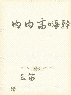 肉肉高嗨干文封面