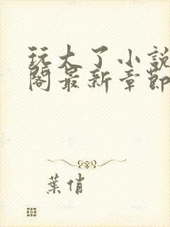 玩大了小说笔趣阁最新章节无弹窗