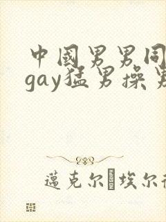 中国男男同性恋gay猛男操男 porn sex封面