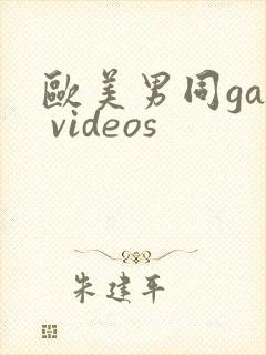 欧美男同gay videos