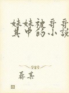 妹妹被哥哥插入其中的小说封面