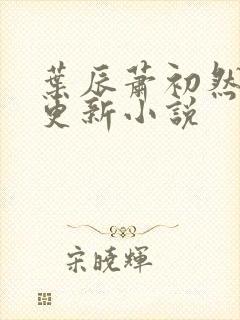 叶辰萧初然最快更新小说