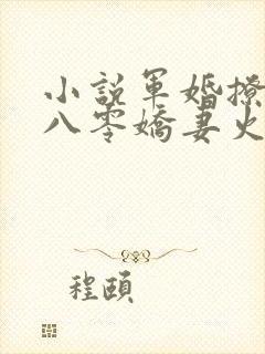 小说军婚撩人:八零娇妻火辣辣阅读