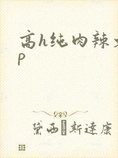 高h纯肉辣文np