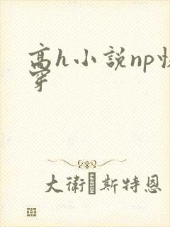 高h小说np快穿