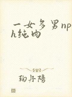 一女多男np高h纯肉