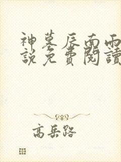 神墓辰南雨馨小说免费阅读无弹窗